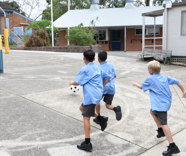 Sydney School and Kindy Playgrounds. Professional cleaners.