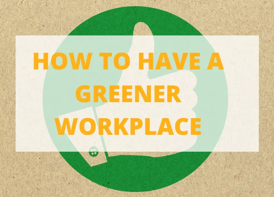 Eco Friendly Office Tips | Ways to go Green at Work       